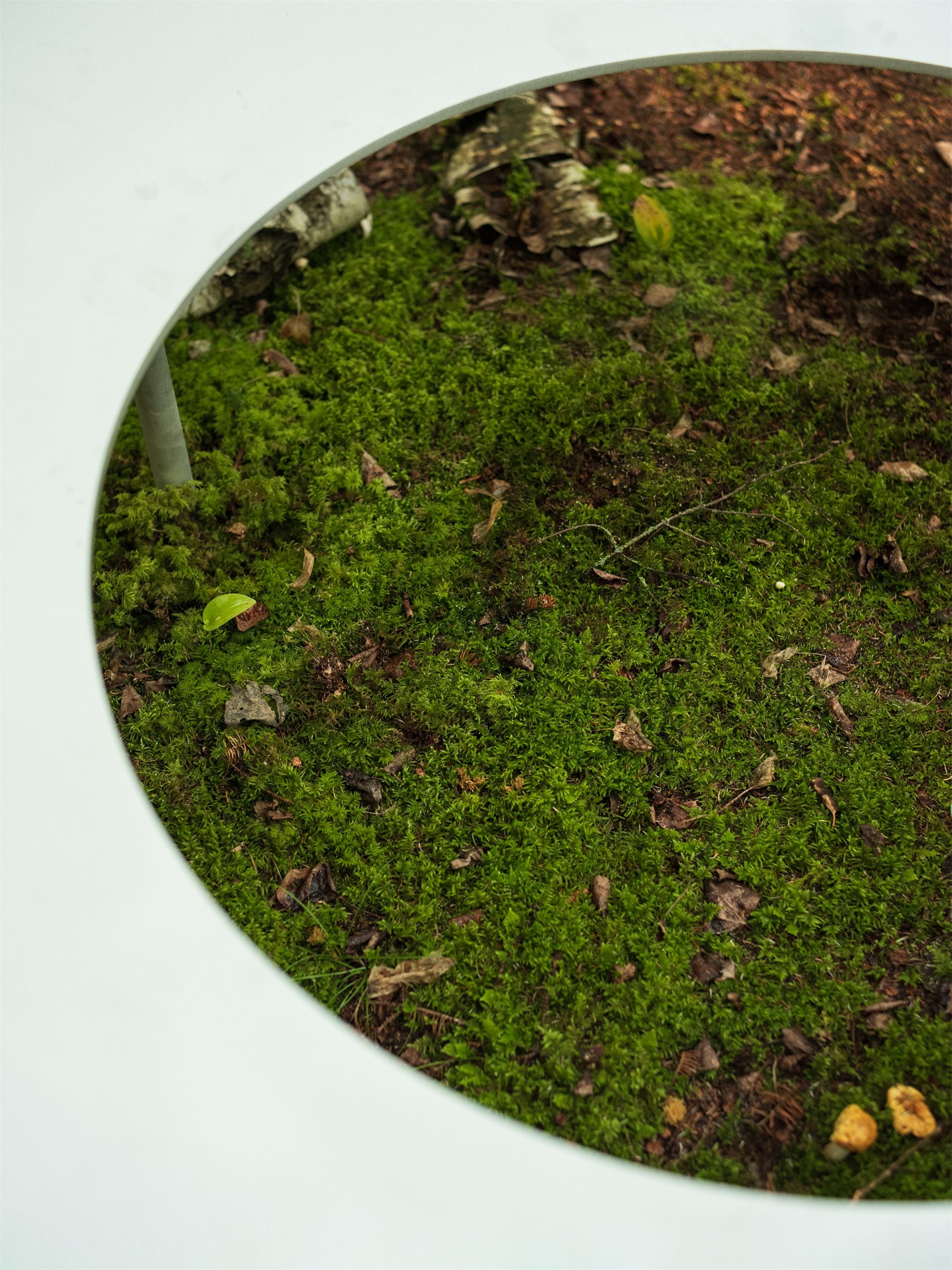 嵌套循环丨加拿大维多利亚丨Thom Fougere-27