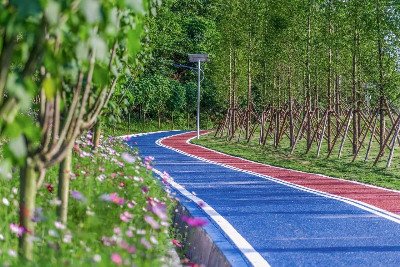 奔跑在春天的跑道里，向阳光未来出发-13