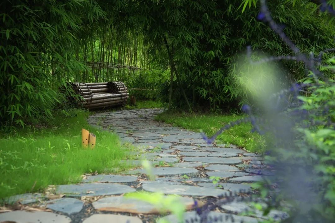 天府林盘·竹韵原乡 | 安仁林盘庄园-116