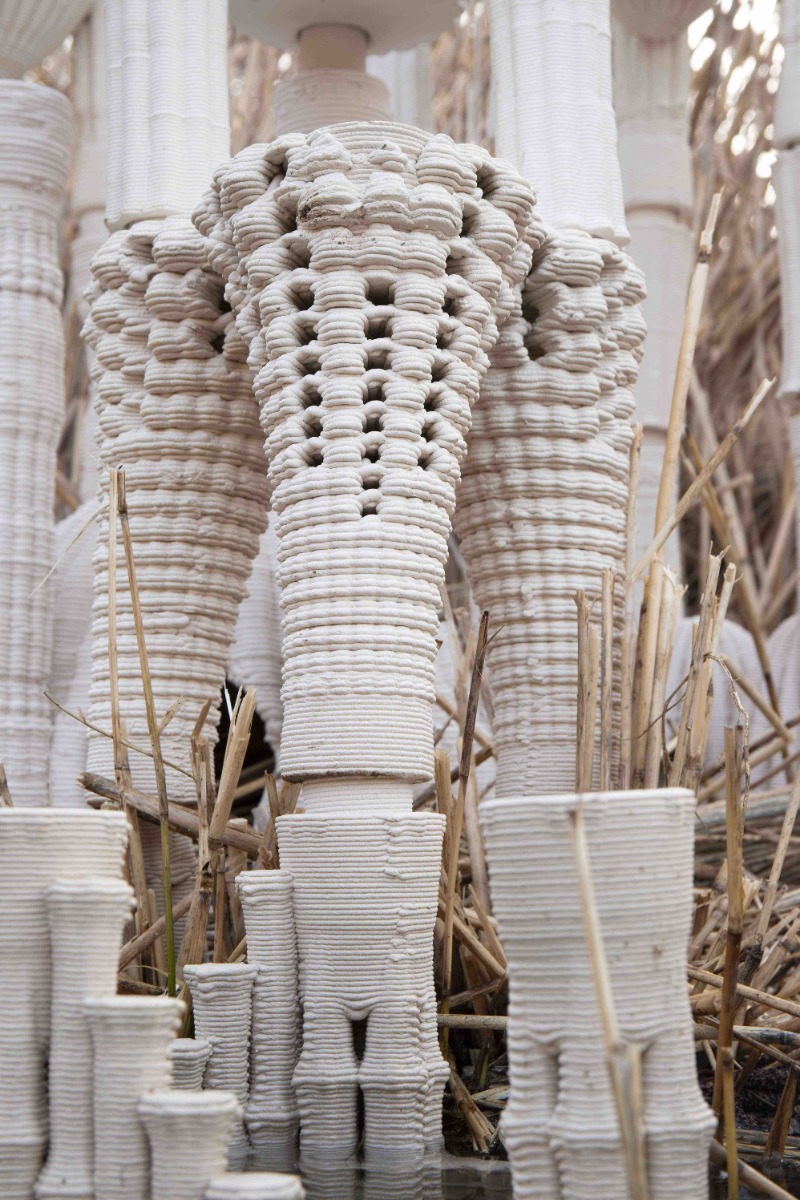 获奖项目之希尔德斯海姆两栖生物栖息地-20