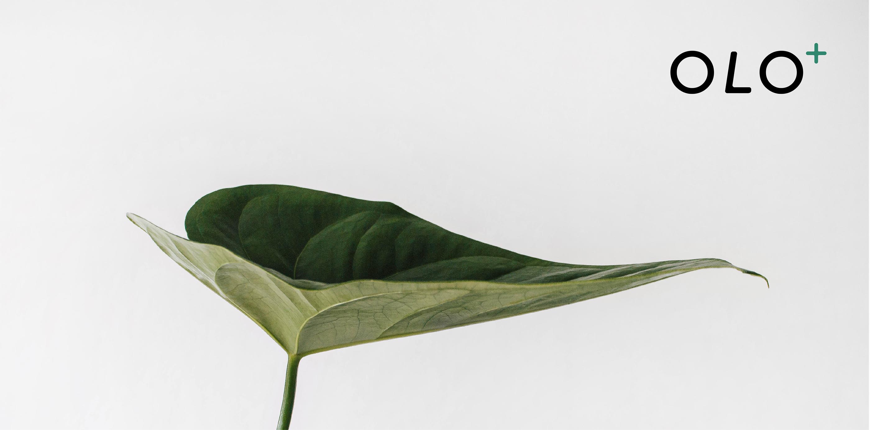 OLOApteekki 药店丨Kuudes-8