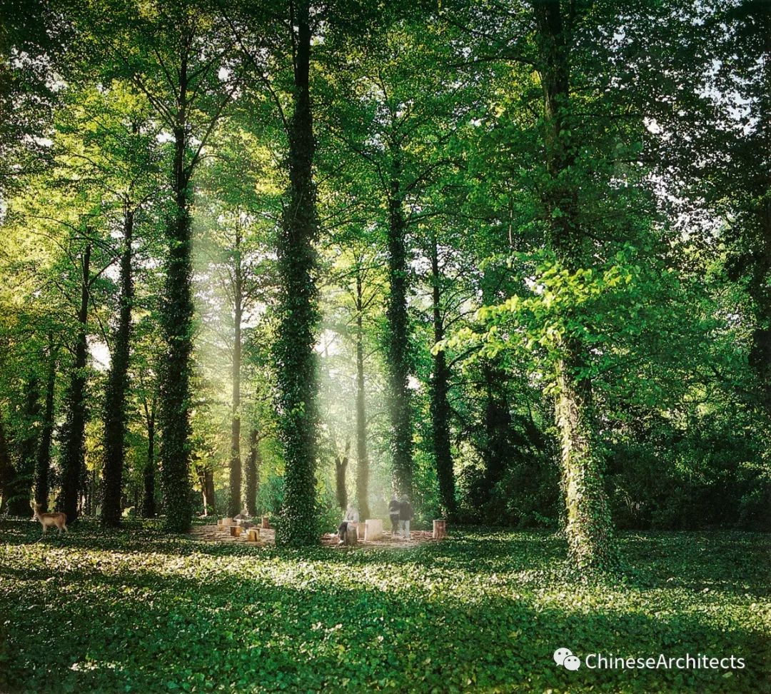 苏黎世机场边的奇异自然公园-15