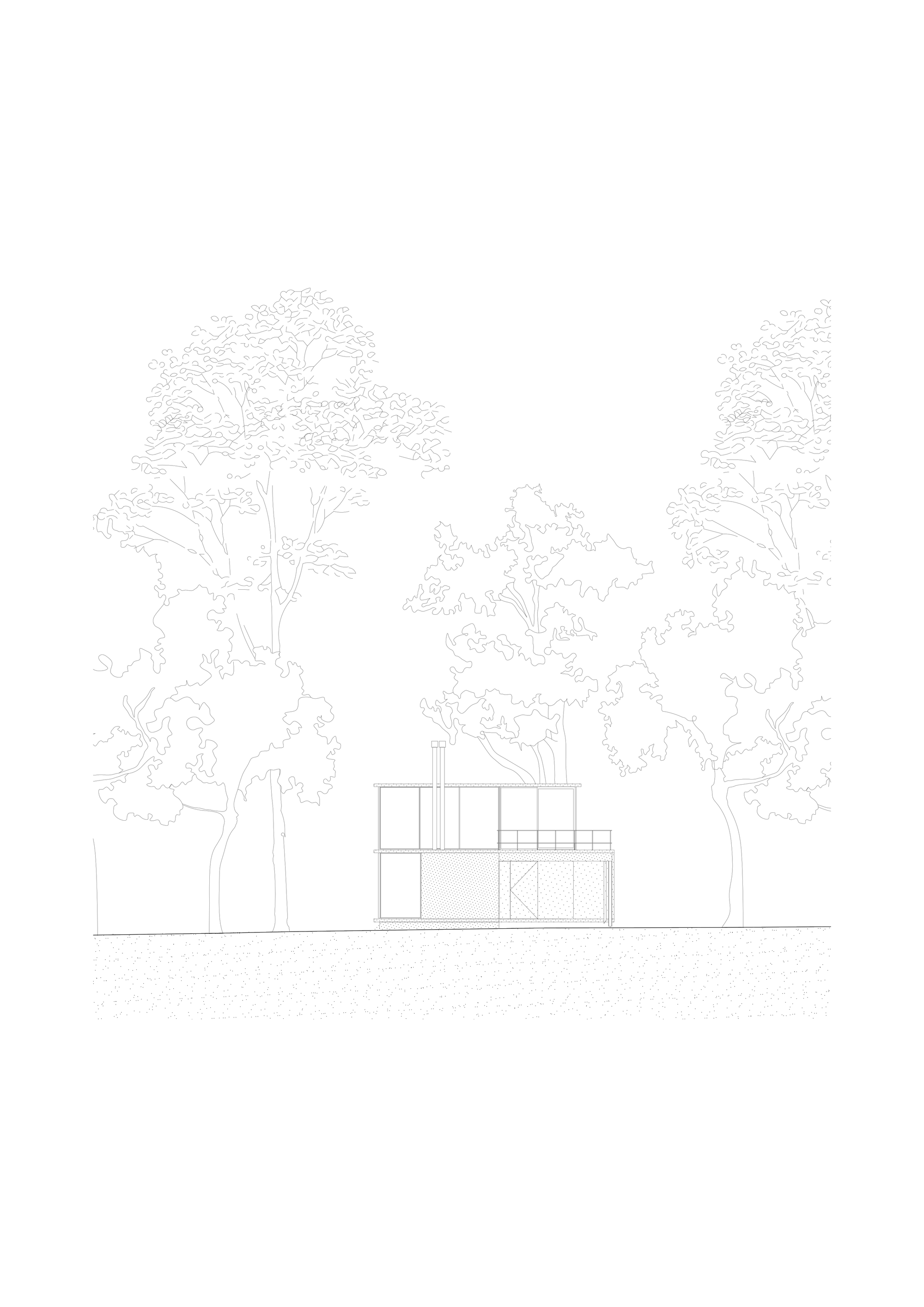尤加利树屋；桉树屋 （备注：Eucalyptus常见释义为尤加利树、桉树，这里根据House推测可能是与树相关的屋子，若有具体语境，可更精准翻译 ） 丨阿根廷布宜诺斯艾利斯丨Julia Yako,Laura Marino-15