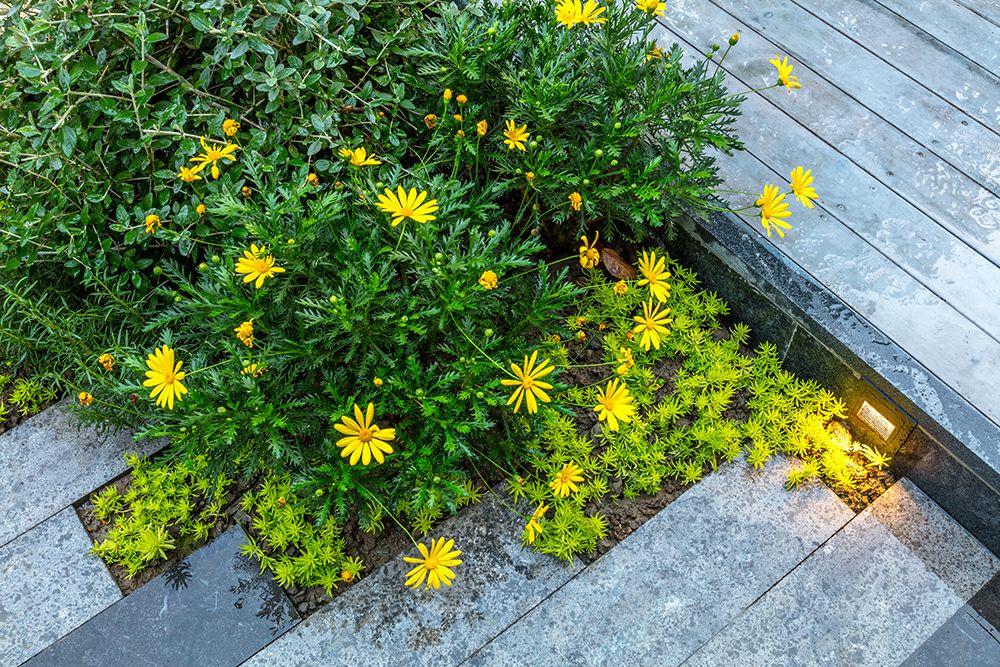 美式庭院设计案例，打造浪漫花园生活-65