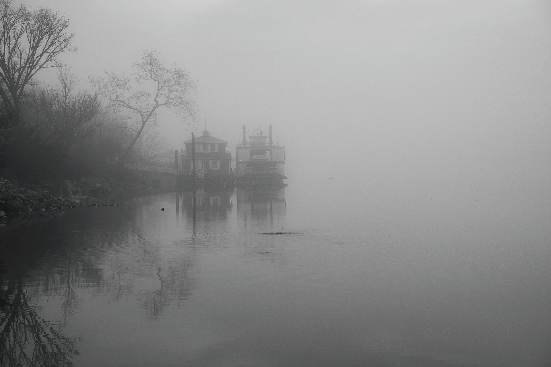 Knoxville, TN (USA).-84