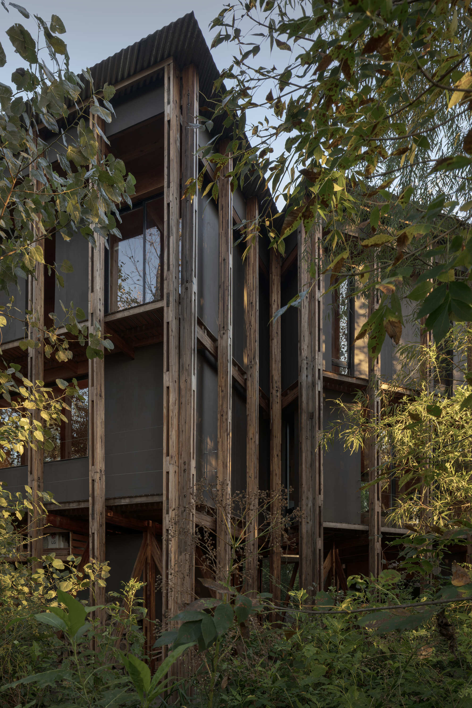 丨阿根廷丨Matías Cosenza Arquitecto-15