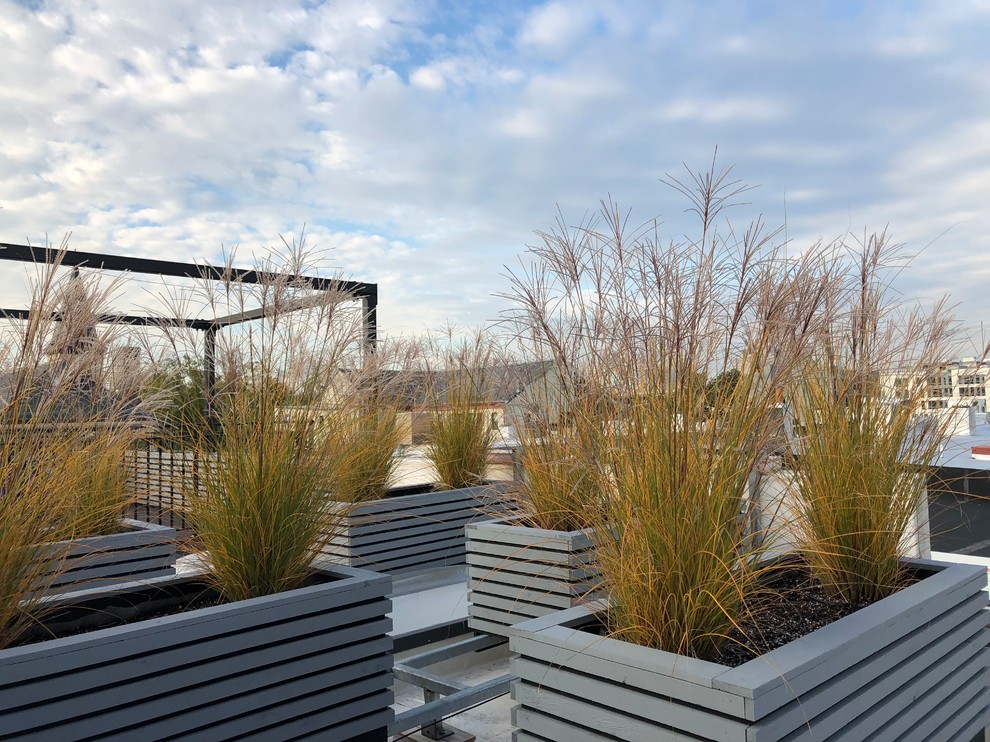 Jersey City Roof Garden-16