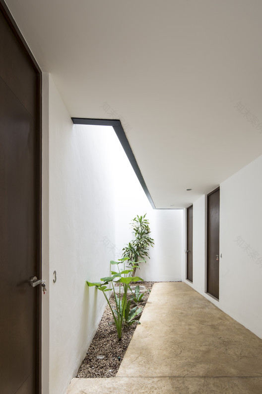 萨尔瓦多 150 号 | 混凝土与本土特色的共生住宅-4