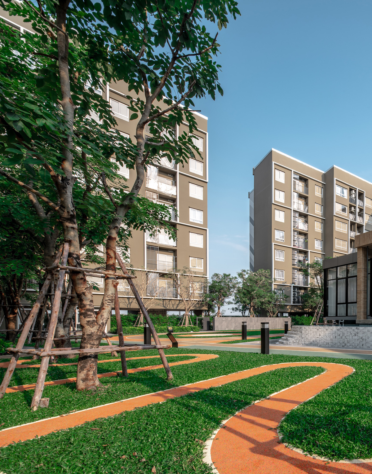 活力大区(Plum Alive)-10