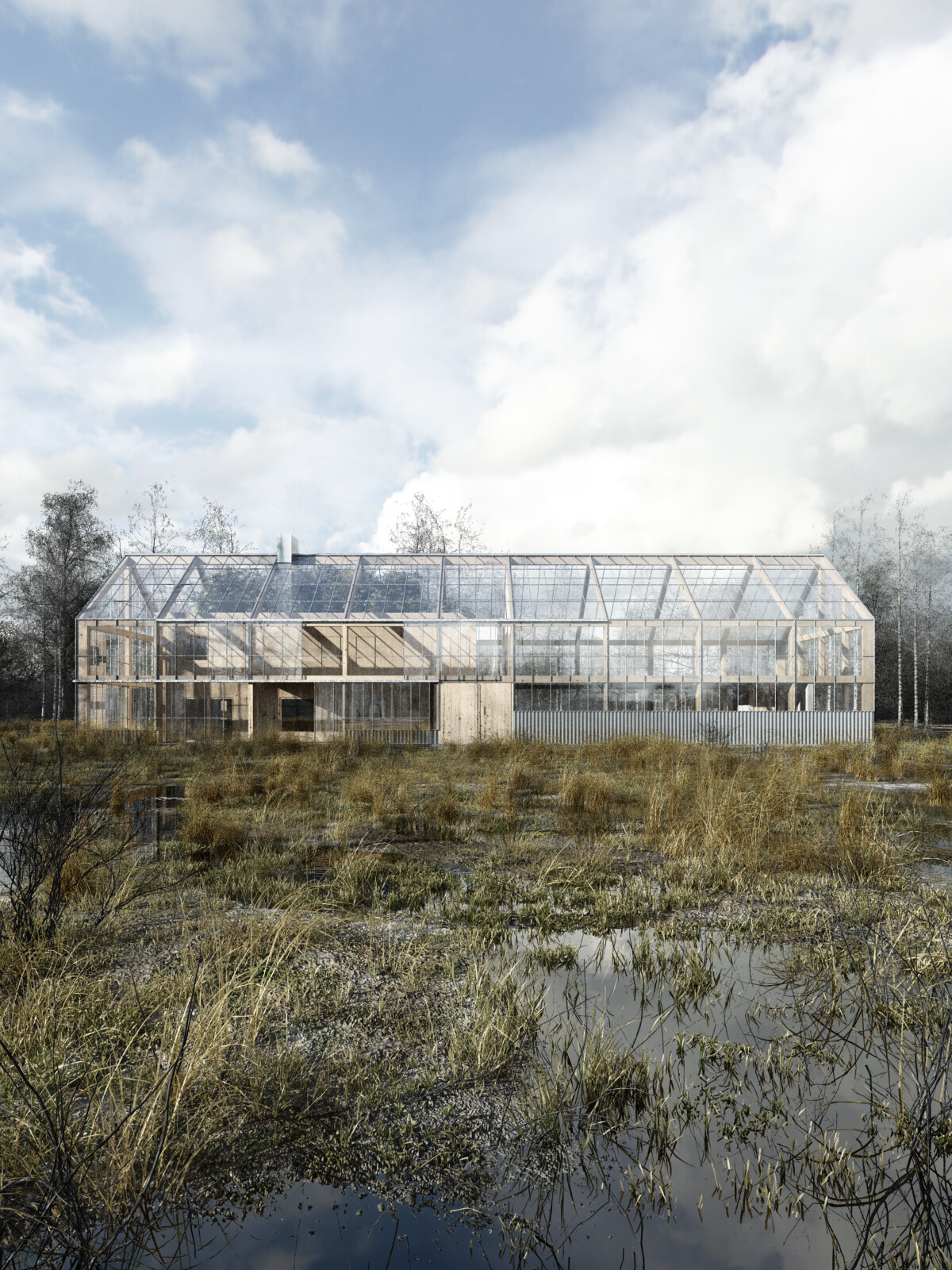 波兰绿意盎然的光之农场-6