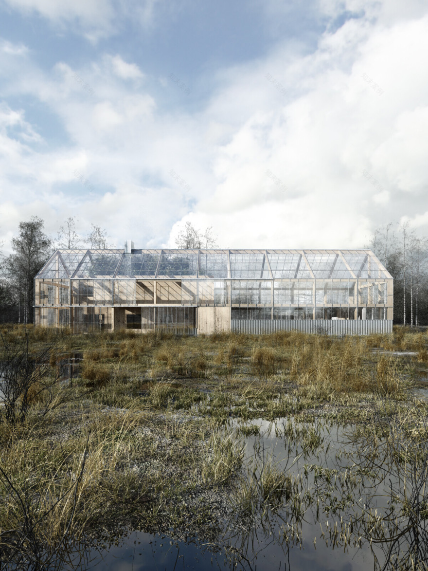 波兰绿意盎然的光之农场-6