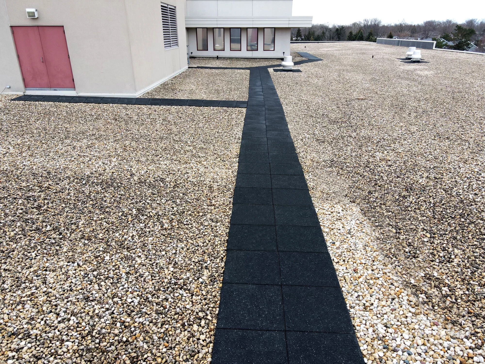 绍姆堡图书馆丨美国-10