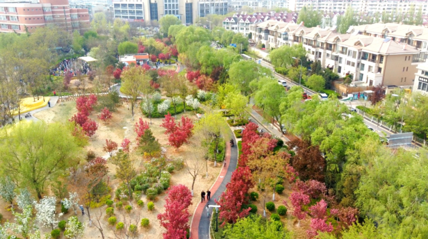 经开区9号绿地景观提升项目(海棠公园)丨中国北京丨北林地景-39