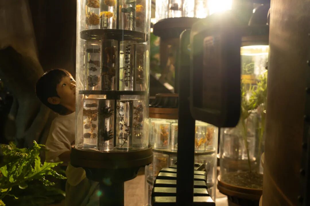 重庆光环花园城·世界树 光环2.0之机械魔法森林丨中国重庆丨WTD纬图设计-48