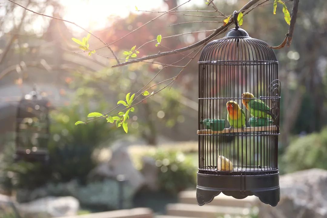 新中式美学大宅,传承中国建筑之美-231