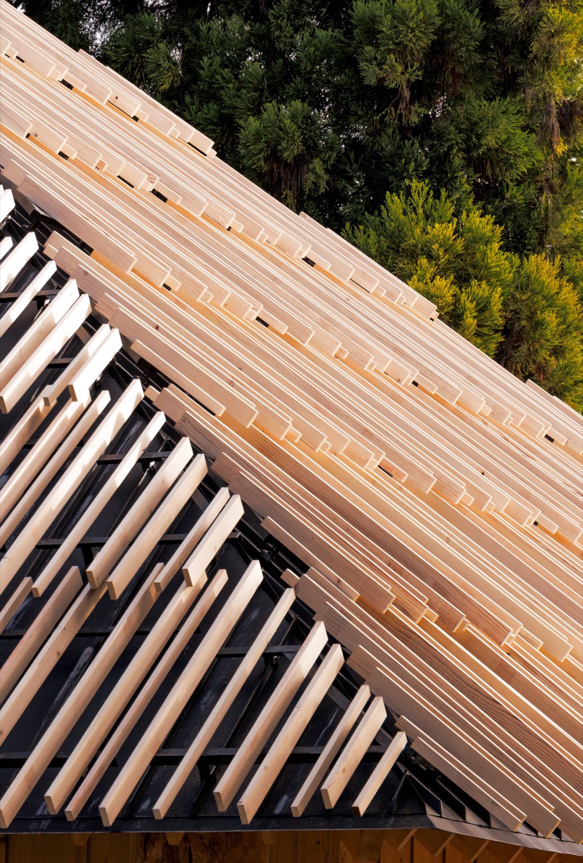 青井の杜国宝纪念馆丨日本丨隈研吾建筑都市设计事务所-11
