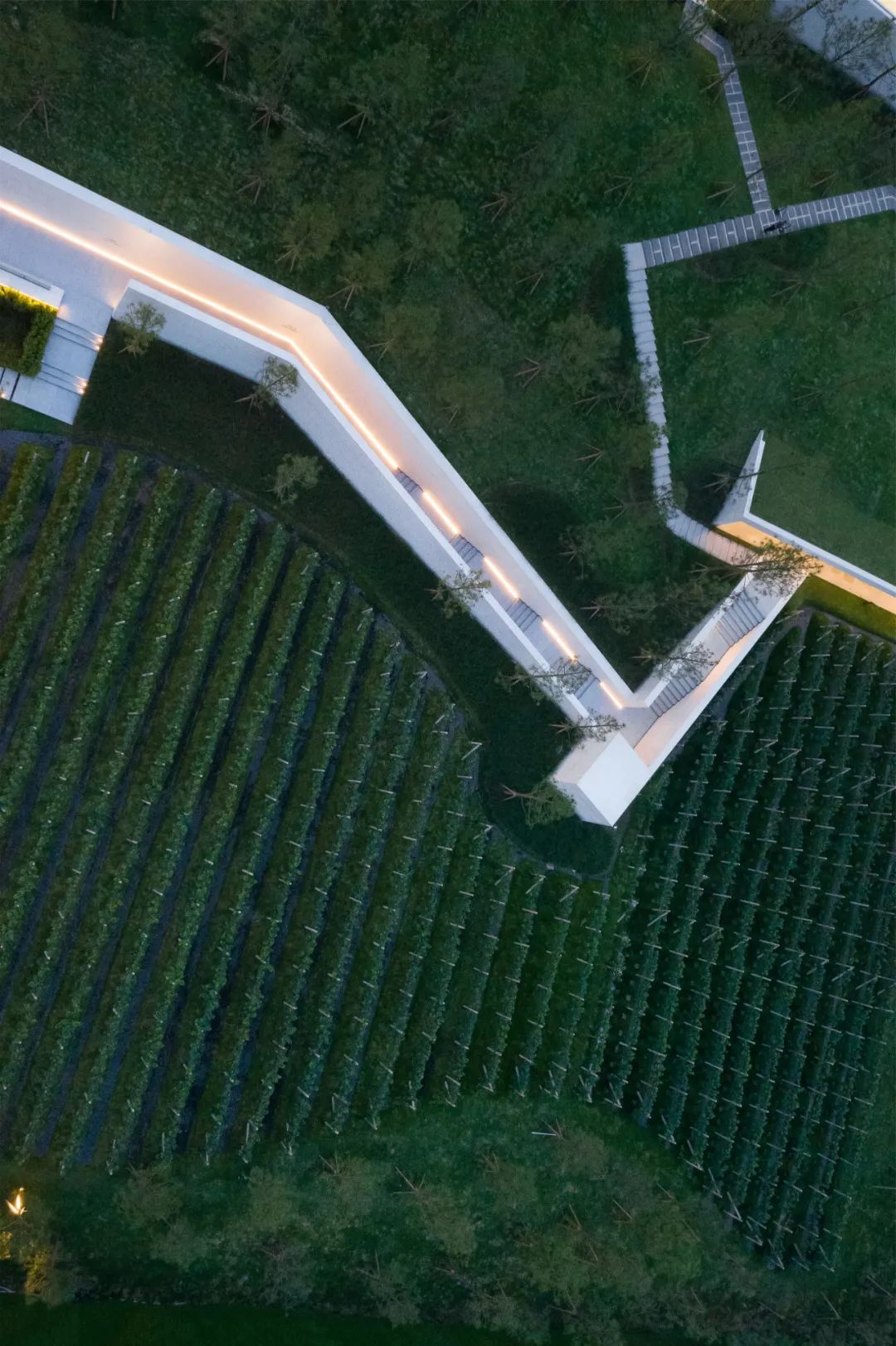 重庆万科璞园丨中国重庆丨WTD纬图设计-0