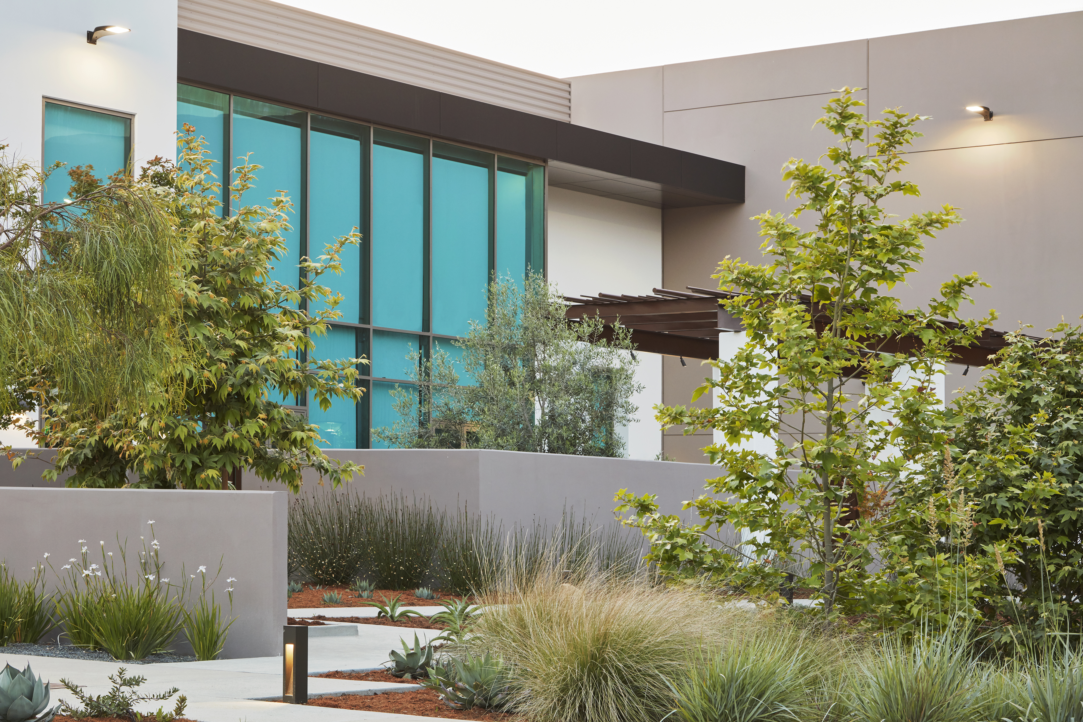 直接救济总部-19