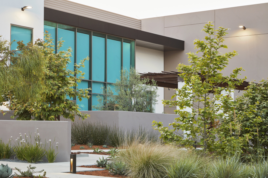 直接救济总部-19