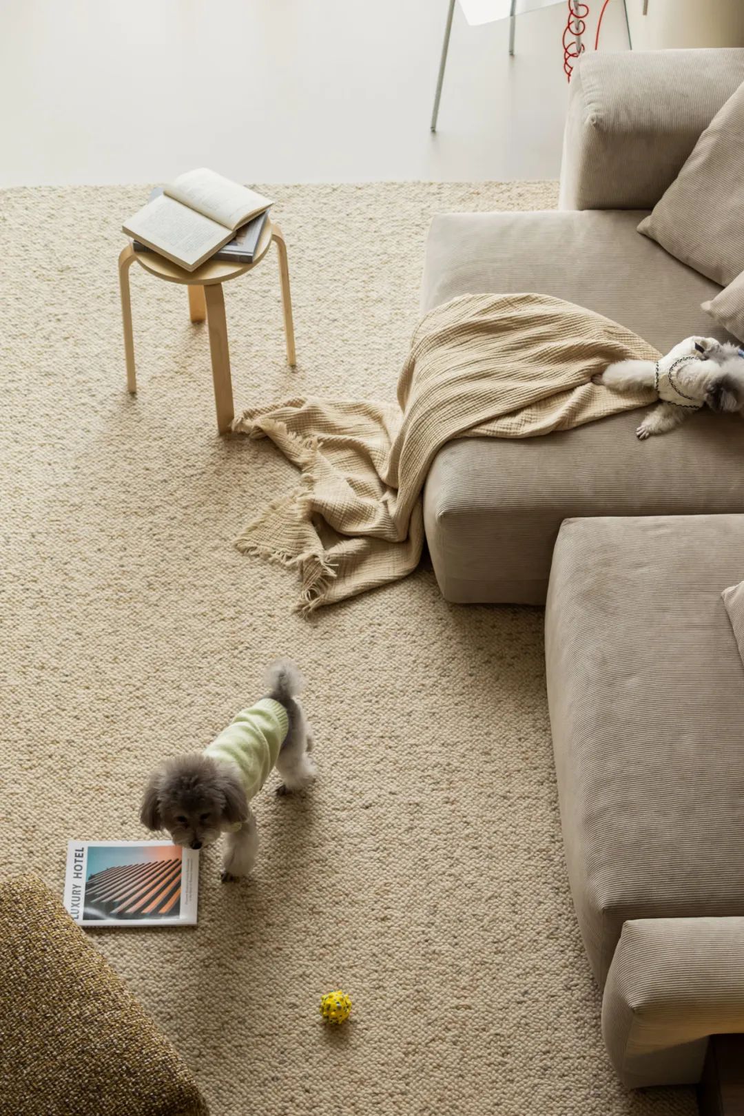 HAOS好室设计新作 · 自由的光丨中国洛阳-56