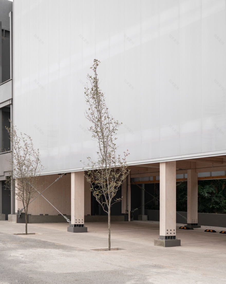 Lyncott办公室,墨西哥丨墨西哥克雷塔罗丨PPAA-17