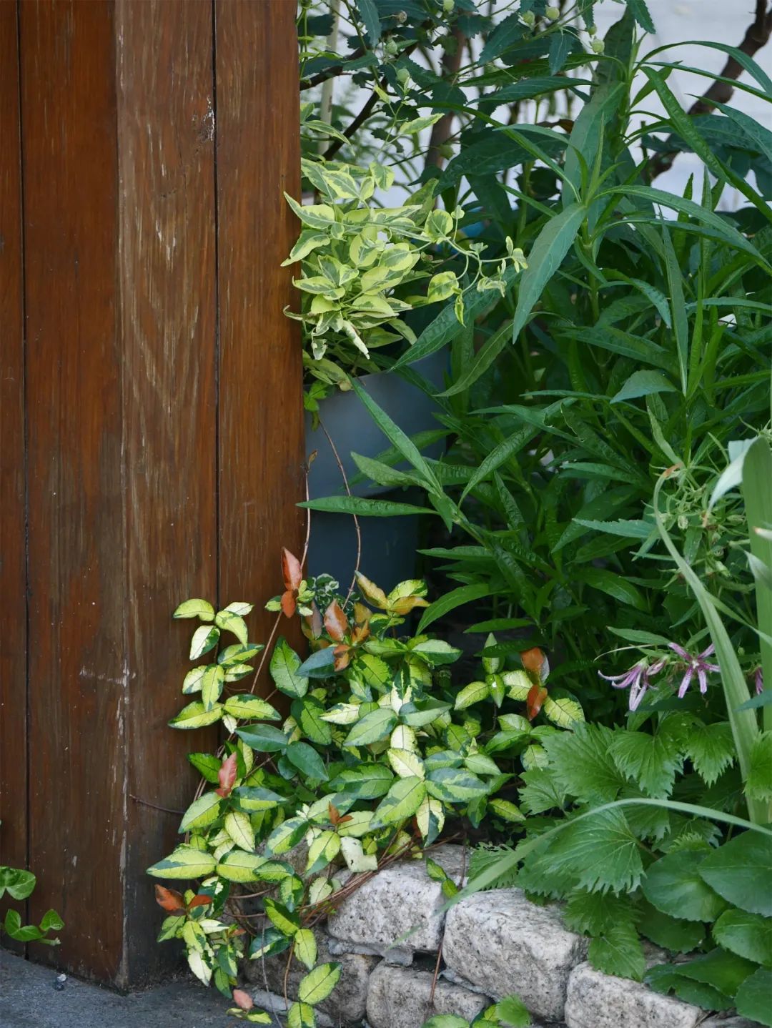 一米花园丨中国上海丨专业设计团队-80