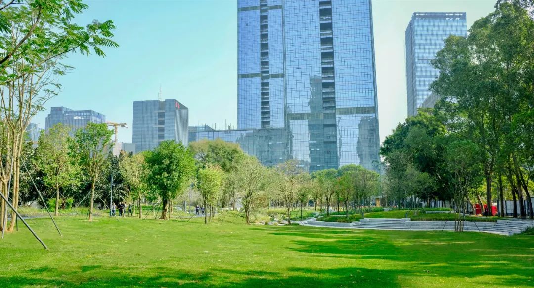 智见 · 云上 | 云之园 CLOUD PARK-171