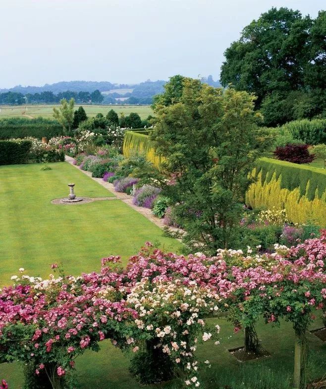 绿篱景观的多功能设计 | 空间、生态与美学的完美结合-105