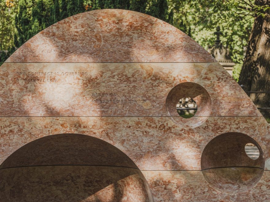 跨物种集会丨美国纽约丨SUPERFLEX-12