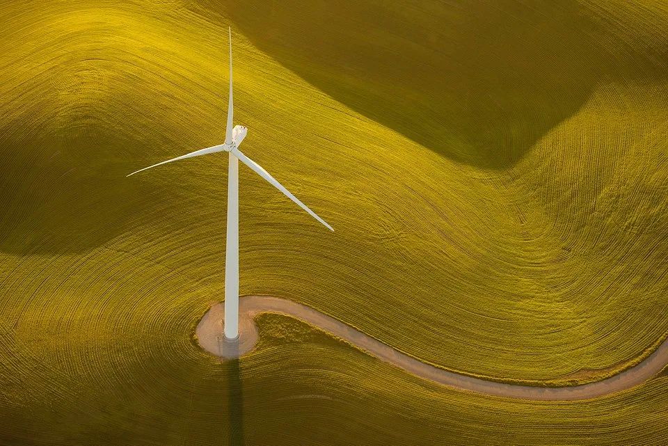 绿色震撼心灵 | 全球绿色摄影大赛获奖作品欣赏-88