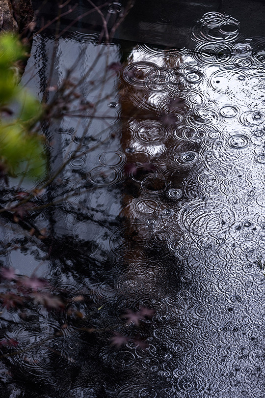 丨中国青岛丨L&A Design Group杭州分公司项目二组-33