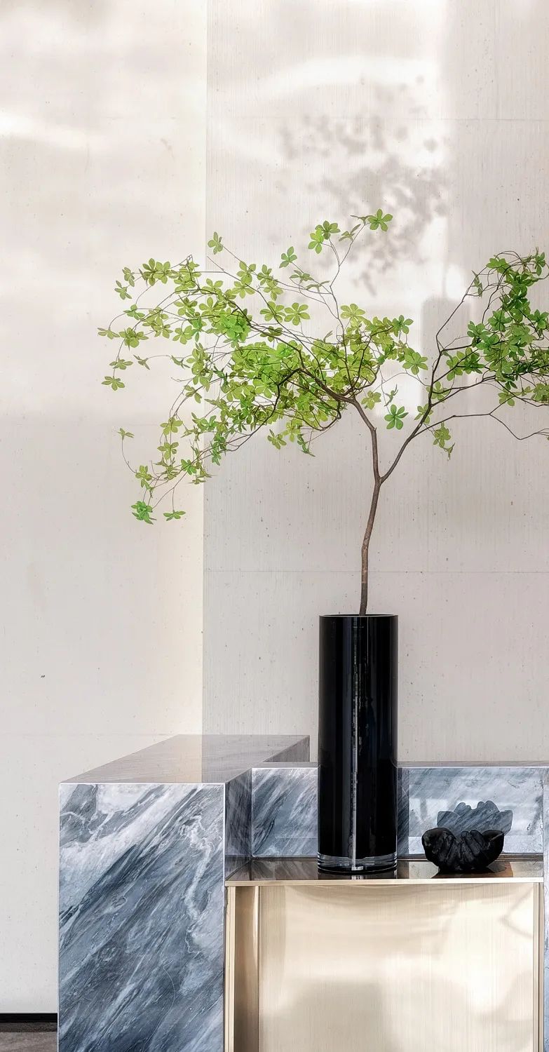 山水清韵,都市樊笼中的活力之美-14