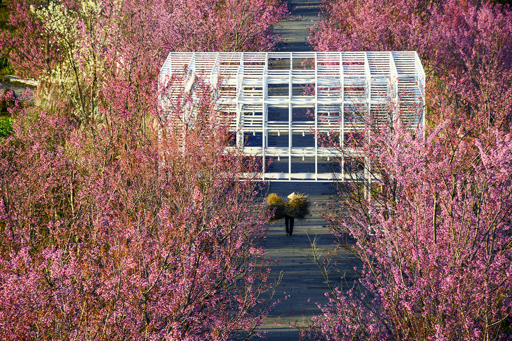 昌宁右甸河流域公园系统丨中国保山丨元有(成都)规划设计有限公司-193