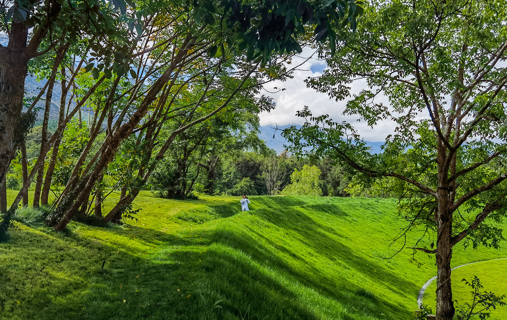 荒野花园和草甸剧场丨中国白沙丨Z’scape致舍景观-79