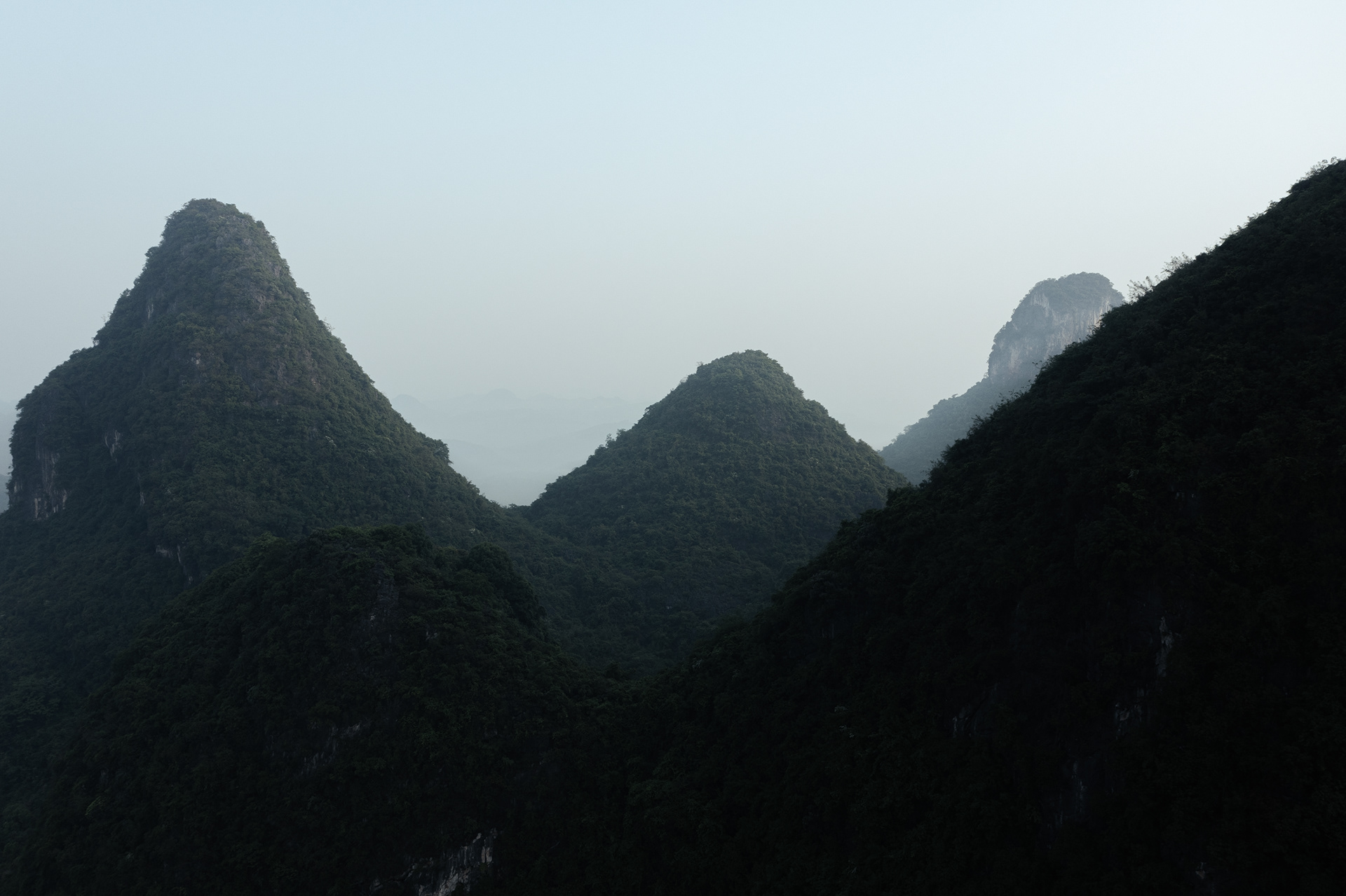 Vector architects / Alila-1