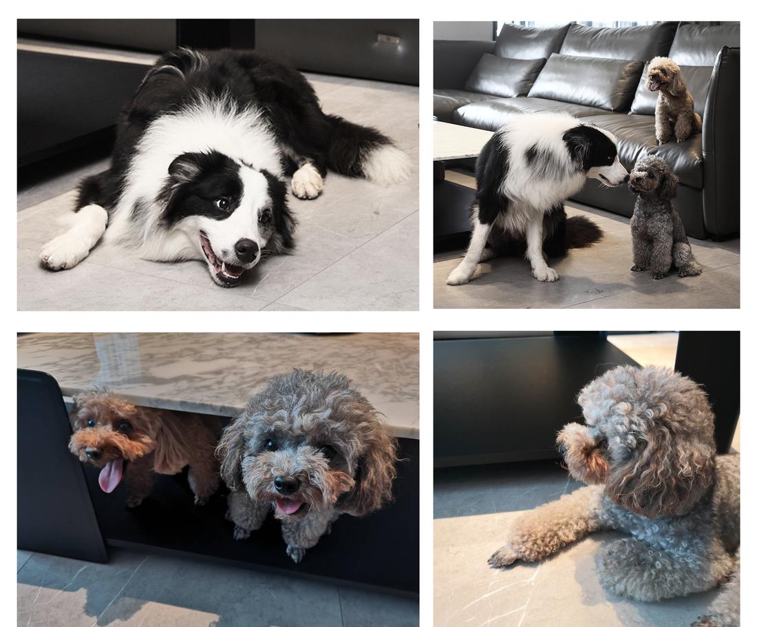 繁华里的有致人生 · 现代简约新中式家居设计-51