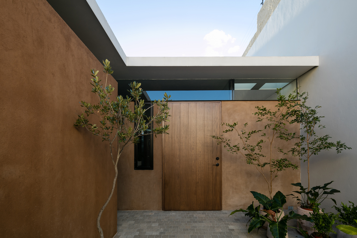 墨西哥钢琴家之家的天空景观与自然融合设计-41