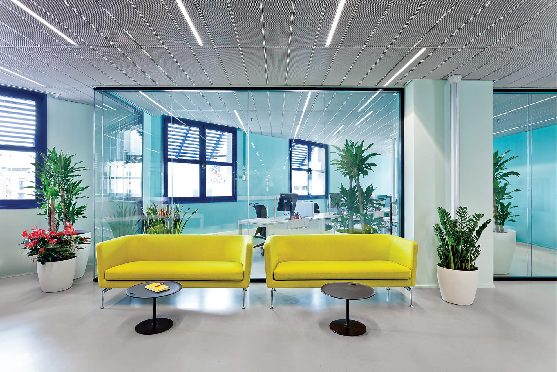 雅典办公空间翻新丨希腊雅典-27