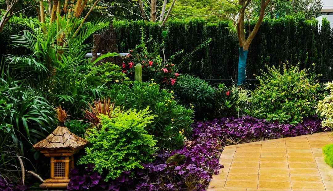 花境植物配置的艺术 | 四季美景尽收眼底-21