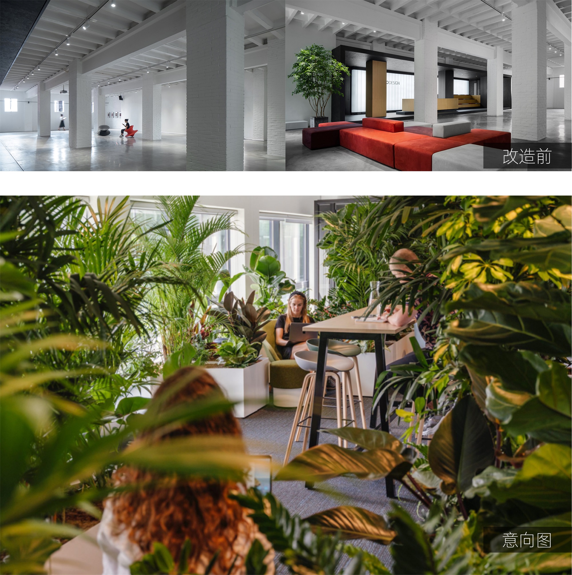 WE HOUSE 物候自然展厅丨我们在办公室造了一个植物园 / 物候设计-22