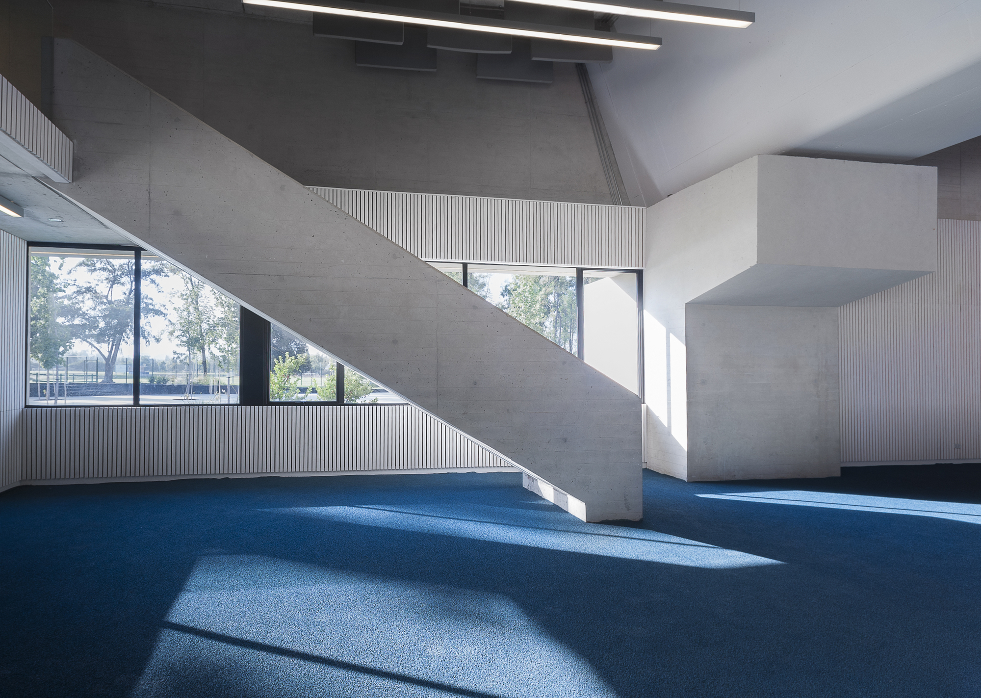 智利森林中的圣乔治学院体育馆-35