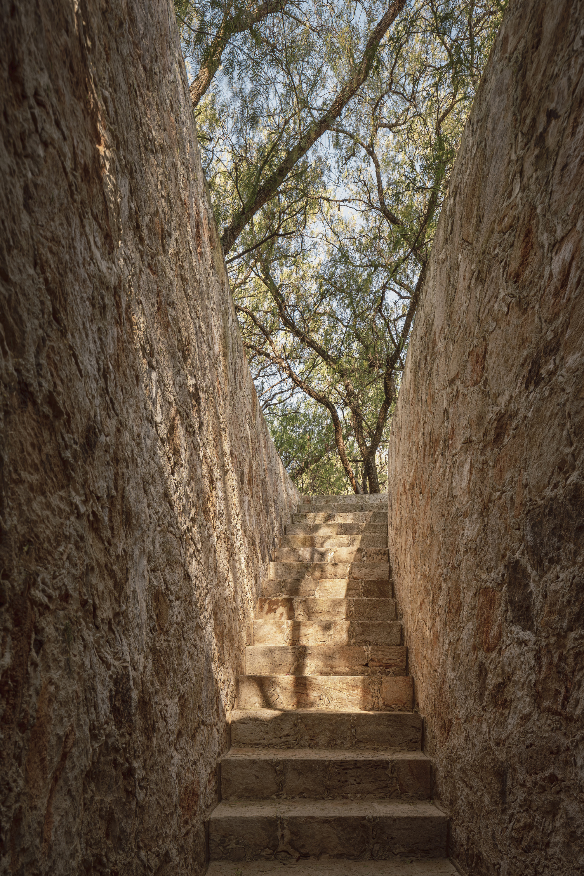 桑蒂利亚农场，宇宙（注：Cosmos常见含义为宇宙 ，但可能结合特定语境有其他更合适的表意，若这里Cosmos为特定名称，因缺乏更多信息，难保证是最精准表意） 丨墨西哥-27