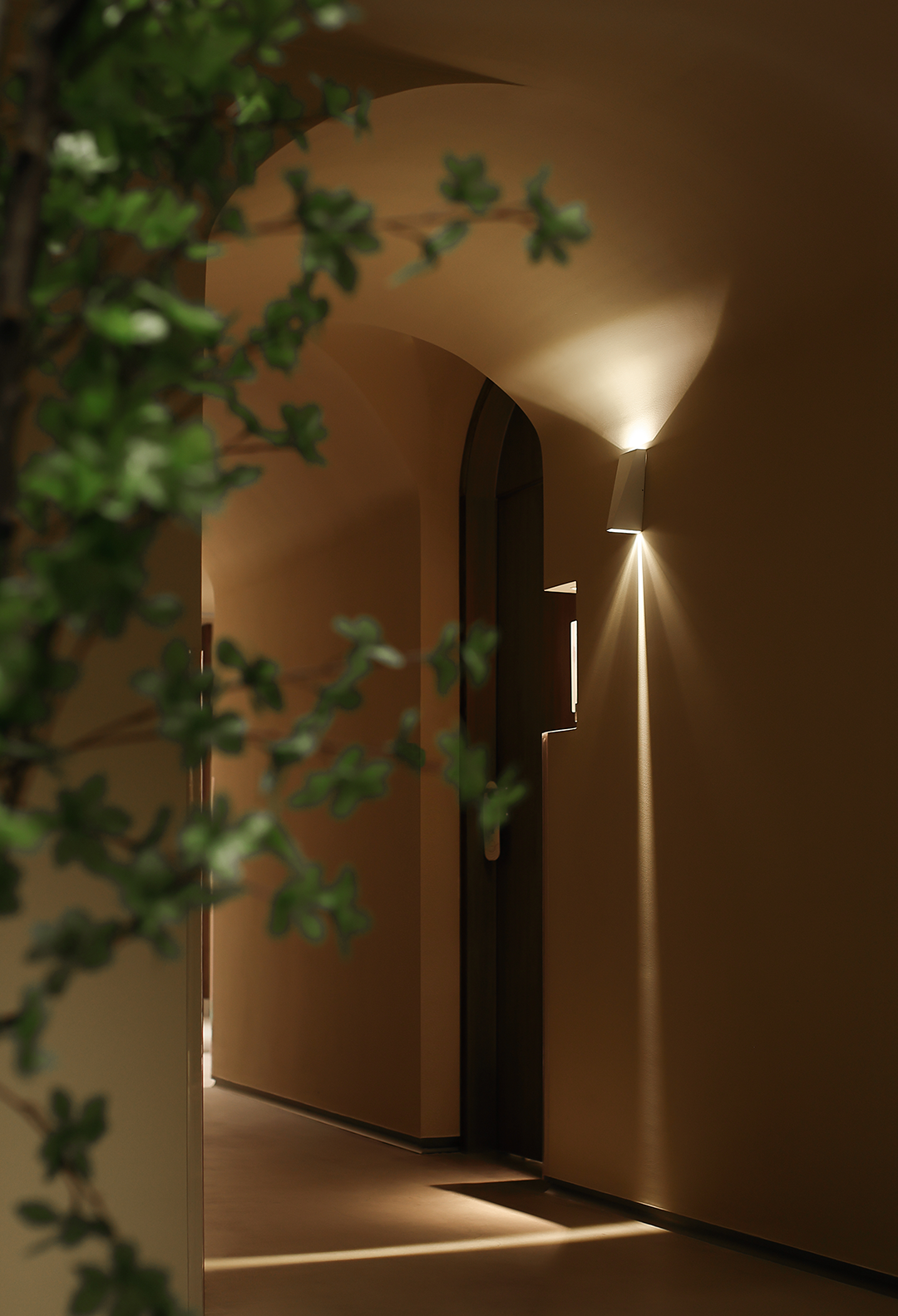 【新作】大象未来丨BAONA SPA-51