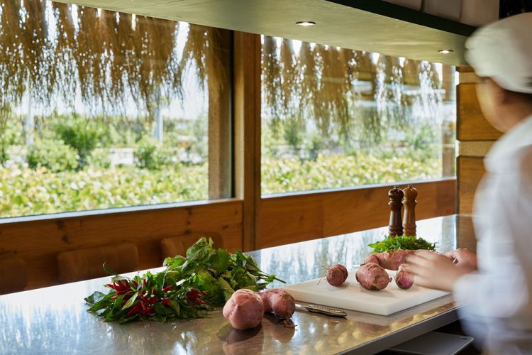 Laboratory Under The Crop Field-22