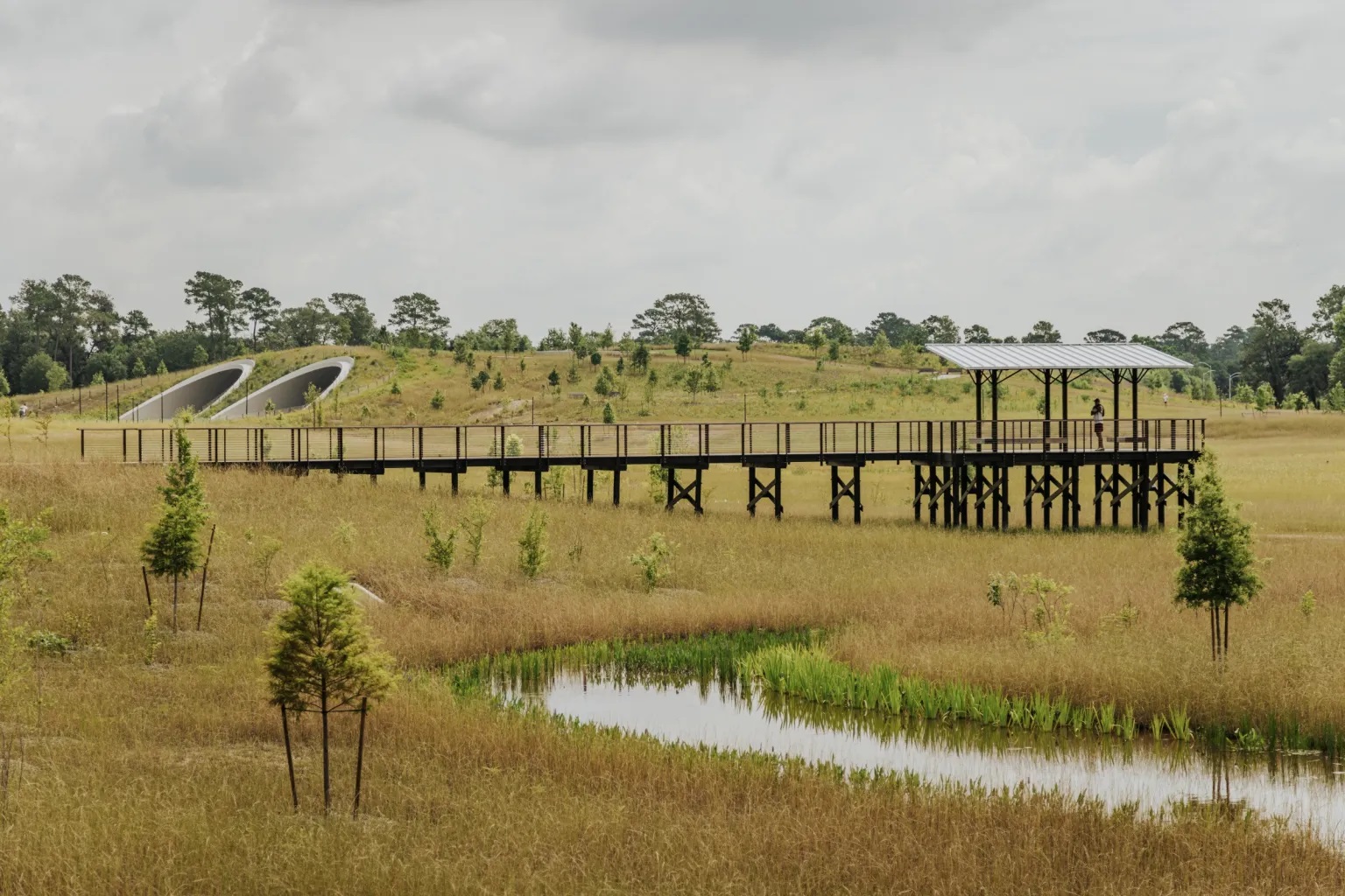 美国休斯顿纪念公园丨Nelson Byrd Woltz 景观设计事务所-55