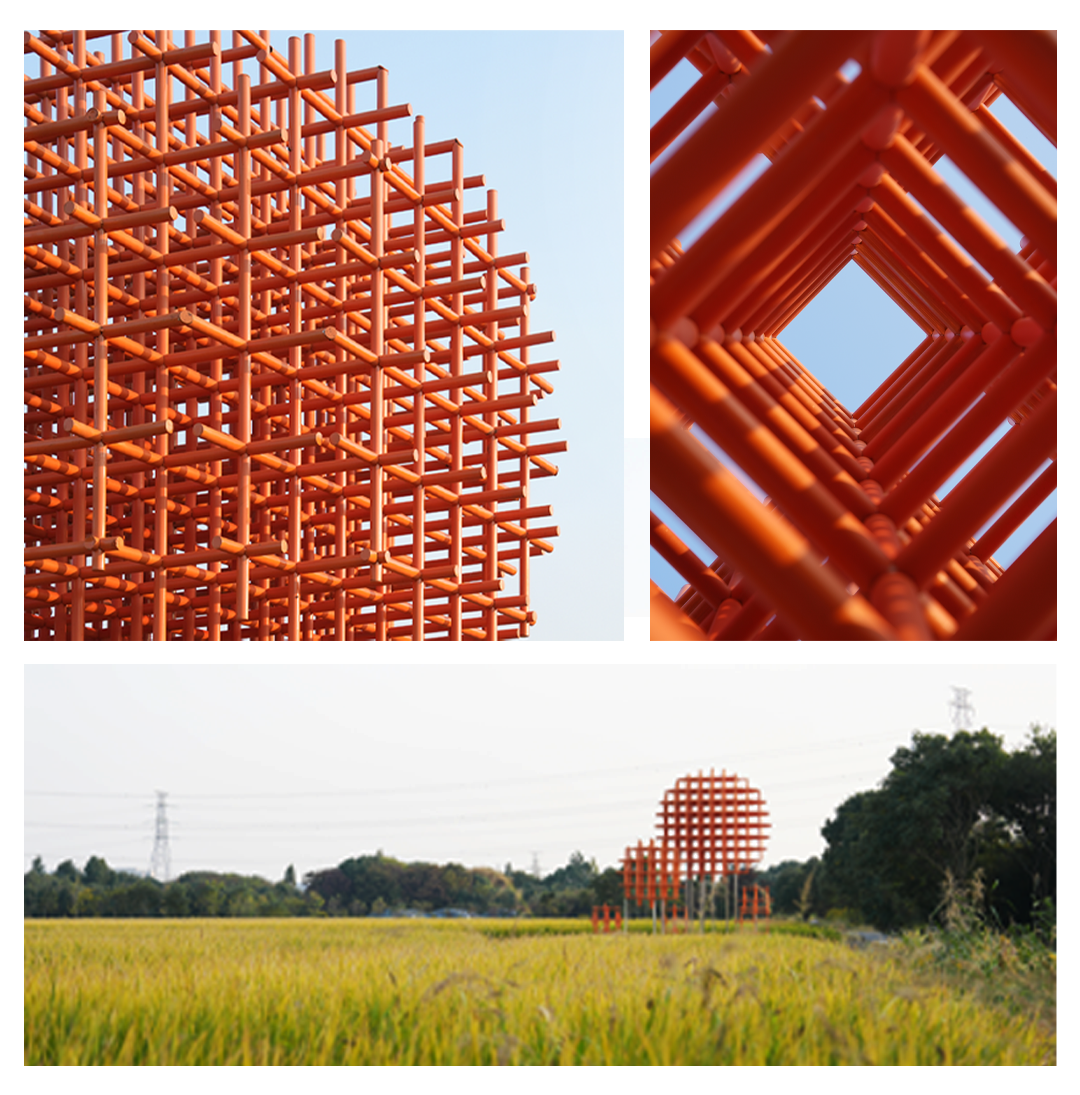 暑假背提-湖州&宣城搭建回顾|从露营地木构到茶山森林装置，探索自然与建造的共生-165