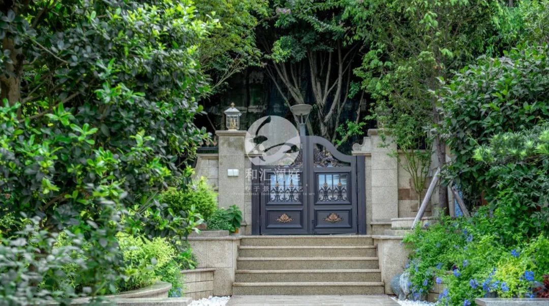 画龙点睛——庭院植物搭配解析-29