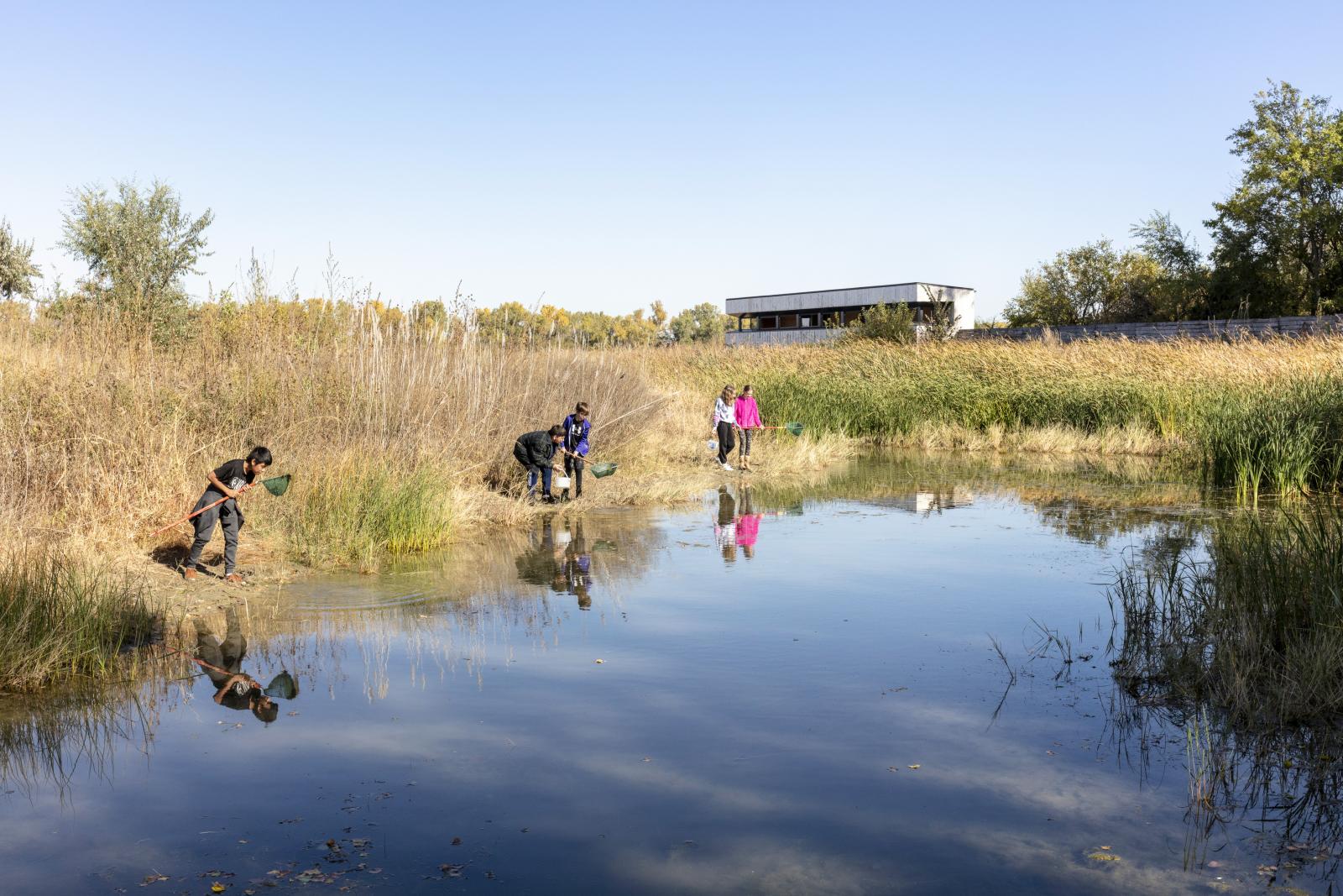 Iain Nicolson Audubon Center at Rowe Sanctuary-15