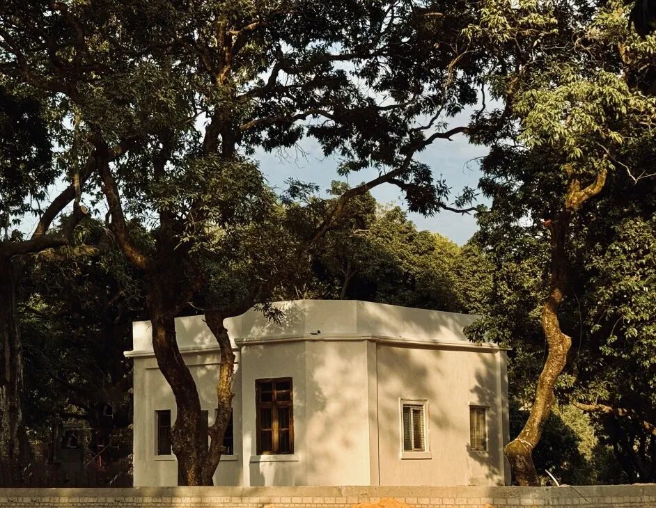 十一赏景别错过！华南国家植物园[绿美广东物种展示园]-42