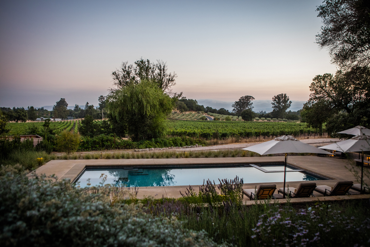 加州索诺马,现代经典庄园 / Lucas & Lucas-6